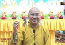 Khi người Phật tử phát tâm -Thích Nhật Từ khi nguoi phat tu phat tam thich