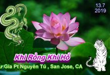 Khi Rồng Khi Hổ – Thích Pháp Hòa khi rong khi ho thich phap hoa