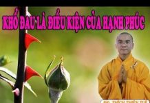 Khổ Đau Là Điều Kiện Của Hạnh Phúc – Thích Thiện Tuệ kho dau la dieu kien cua hanh ph