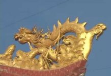 Khổ Vui Của Kiếp Người – Thích Nữ Như Lan kho vui cua kiep nguoi thich nu