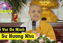 Khổ Vui Do Mình – Thích Nữ Hương Nhũ kho vui do minh thich nu huong n