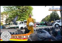 Khôi Phục Niềm Tin – Thích Nhật Từ khoi phuc niem tin thich nhat tu