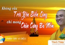 Không Cầu Trời Yên Biển Lặng – Chỉ Mong Chân Cứng Đá Mềm – Thích Thiện Tuệ khong cau troi yen bien lang chi