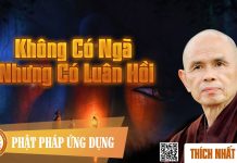 Không Có Ngã Nhưng Có Luân Hồi – Thích Nhất Hạnh khong co nga nhung co luan hoi t