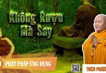 Không Rượu Mà Say – Thích Phước Tiến khong ruou ma say thich phuoc ti