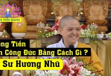 Không Tiền Làm Công Đức Bắng Cách Gì – Thích Nữ Hương Nhũ khong tien lam cong duc bang cac 1