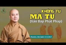 Không Tu Mà Tu (Vấn Đáp) – Thích Pháp Hòa khong tu ma tu van dap thich pha