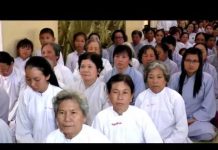 Không Tu Ngược Chiều Tiến Hóa – Thích Trí Huệ khong tu nguoc chieu tien hoa th