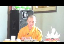 Không Vướng Bụi Trần – Thích Thiện Tuệ khong vuong bui tran thich thien