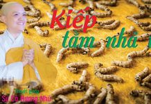 Kiếp Tằm Nhả Tơ – Thích Nữ Hương Nhũ kiep tam nha to thich nu huong n