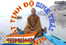 Kinh A-di-đà 2: Sinh thái và sinh hoạt Tịnh Độ – Thích Nhật Từ kinh a di da 2 sinh thai va sinh