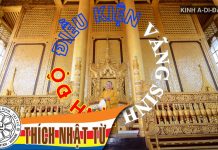 Kinh A-di-đà 4: Điều kiện vãng sinh Tịnh Độ (15-12-2005) – Thích Nhật Từ kinh a di da 4 dieu kien vang si