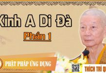Kinh A Di Đà phần 1 – Thích Trí Quảng kinh a di da phan 1 thich tri qu