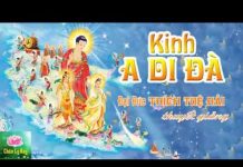 Kinh A Di Đà Phần 1 – Thích Tuệ Hải kinh a di da phan 1 thich tue ha