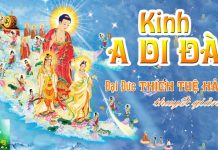 Kinh A Di Đà Phần 3 – Thích Tuệ Hải kinh a di da phan 3 thich tue ha