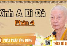 Kinh A Di Đà phần 4 – Thích Trí Quảng kinh a di da phan 4 thich tri qu