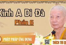 Kinh A Di Đà phần 6 – Thích Trí Quảng kinh a di da phan 6 thich tri qu