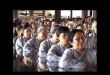 Kinh A Hàm Giảng Giải Bài 7 – Thích Nữ Hạnh Chiếu kinh a ham giang giai bai 7 thic