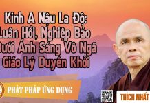 Kinh A Nậu La Độ: Luân Hồi, Nghiệp Báo Dưới Ánh Sáng Vô Ngã – Giáo Lý Duyên Khởi kinh a nau la do luan hoi nghiep
