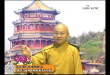 Kinh Bách Dụ 11: Vượt qua nghèo và khổ – Thích Nhật Từ kinh bach du 11 vuot qua ngheo v