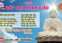 Kinh Bát Đại Nhân Giác 1 – Thích Tuệ Hải kinh bat dai nhan giac 1 thich t