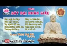 Kinh Bát Đại Nhân Giác 12 – Thích Tuệ Hải kinh bat dai nhan giac 12 thich