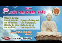 Kinh Bát Đại Nhân Giác 13 – Thích Tuệ Hải kinh bat dai nhan giac 13 thich