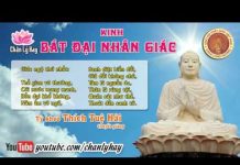 Kinh Bát Đại Nhân Giác 2 – Thích Tuệ Hải kinh bat dai nhan giac 2 thich t