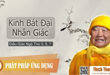 Kinh Bát Đại Nhân Giác 3 – Điều Giác Ngộ Thứ 5, 6, 7 – Thiền Sư Thích Thanh Từ kinh bat dai nhan giac 3 dieu gi