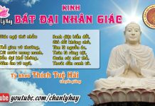 Kinh Bát Đại Nhân Giác 4 – Thích Tuệ Hải kinh bat dai nhan giac 4 thich t