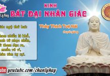 Kinh Bát Đại Nhân Giác 5 – Thích Tuệ Hải kinh bat dai nhan giac 5 thich t