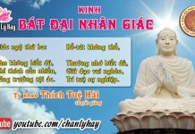 Kinh Bát Đại Nhân Giác 6 – Thích Tuệ Hải kinh bat dai nhan giac 6 thich t