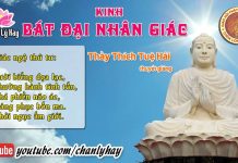 Kinh Bát Đại Nhân Giác 7 – Thích Tuệ Hải kinh bat dai nhan giac 7 thich t