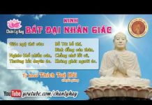 Kinh Bát Đại Nhân Giác 9 – Thích Tuệ Hải kinh bat dai nhan giac 9 thich t