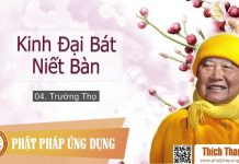 Kinh Đại Bát Niết Bàn 04 – Trường Thọ – Thích Thanh Từ kinh dai bat niet ban 04 truong