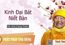 Kinh Đại Bát Niết Bàn 05 – Kim Cang Thân – Thích Thanh Từ kinh dai bat niet ban 05 kim can