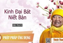 Kinh Đại Bát Niết Bàn 06 – Tứ Y – Thích Thanh Từ kinh dai bat niet ban 06 tu y th