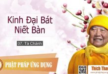 Kinh Đại Bát Niết Bàn 07 – Tà Chánh – Thích Thanh Từ kinh dai bat niet ban 07 ta chan