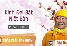 Kinh Đại Bát Niết Bàn 11 – Anh Nhi Hạnh – Thích Thanh Từ kinh dai bat niet ban 11 anh nhi