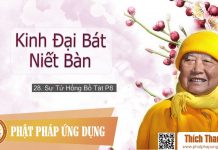 Kinh Đại Bát Niết Bàn 28 – Sư Tử Hống Bồ Tát Phần 8 – Thích Thanh Từ kinh dai bat niet ban 28 su tu h