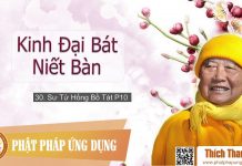 Kinh Đại Bát Niết Bàn 30 – Sư Tử Hống Bồ Tát Phần 10 – Thích Thanh Từ kinh dai bat niet ban 30 su tu h