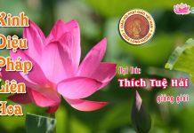 Kinh Diệu Pháp Liên Hoa 1 – Thích Tuệ Hải kinh dieu phap lien hoa 1 thich