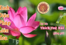 Kinh Diệu Pháp Liên Hoa 19 – Thích Tuệ Hải kinh dieu phap lien hoa 19 thich