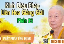 Kinh Diệu Pháp Liên Hoa Giảng Giải phần 35 – Thích Trí Quảng kinh dieu phap lien hoa giang gi