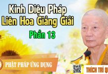 Kinh Diệu Pháp Liên Hoa Giảng Giải phần 13 – Thích Trí Quảng kinh dieu phap lien hoa giang gi 22