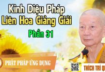 Kinh Diệu Pháp Liên Hoa Giảng Giải phần 31 – Thích Trí Quảng kinh dieu phap lien hoa giang gi 4