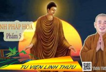 Kinh Diệu Pháp Liên Hoa Phẩm 5 – Thích Thiện Xuân kinh dieu phap lien hoa pham 5 t 1