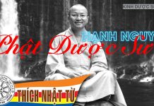 Kinh Dược Sư 2: Hạnh nguyện Phật Dược Sư – Thích Nhật Từ kinh duoc su 2 hanh nguyen phat