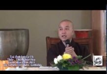 Kinh Dược Sư – Tỏa Ánh Lưu Ly 15 – Thích Pháp Hòa kinh duoc su toa anh luu ly 15 t