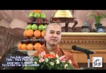 Kinh Dược Sư – Tỏa Ánh Lưu Ly 17 – Thích Pháp Hòa kinh duoc su toa anh luu ly 17 t